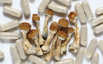 Micro,Dosing,Concept.,Dry,Psilocybin,Mushrooms,And,Natural,Herbal,Pills